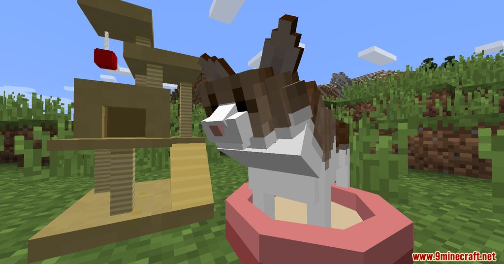 Gatos y perros Mod Capturas de pantalla 1