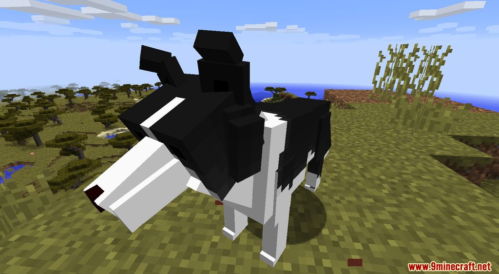 Gatos y perros Mod Capturas de pantalla 5