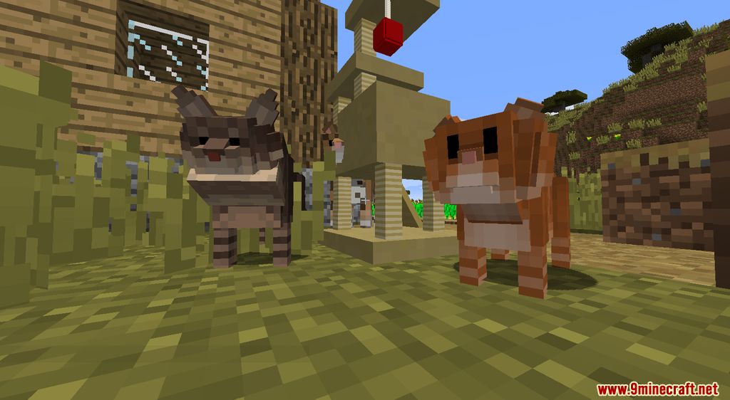 Gatos y perros Mod Capturas de pantalla 7