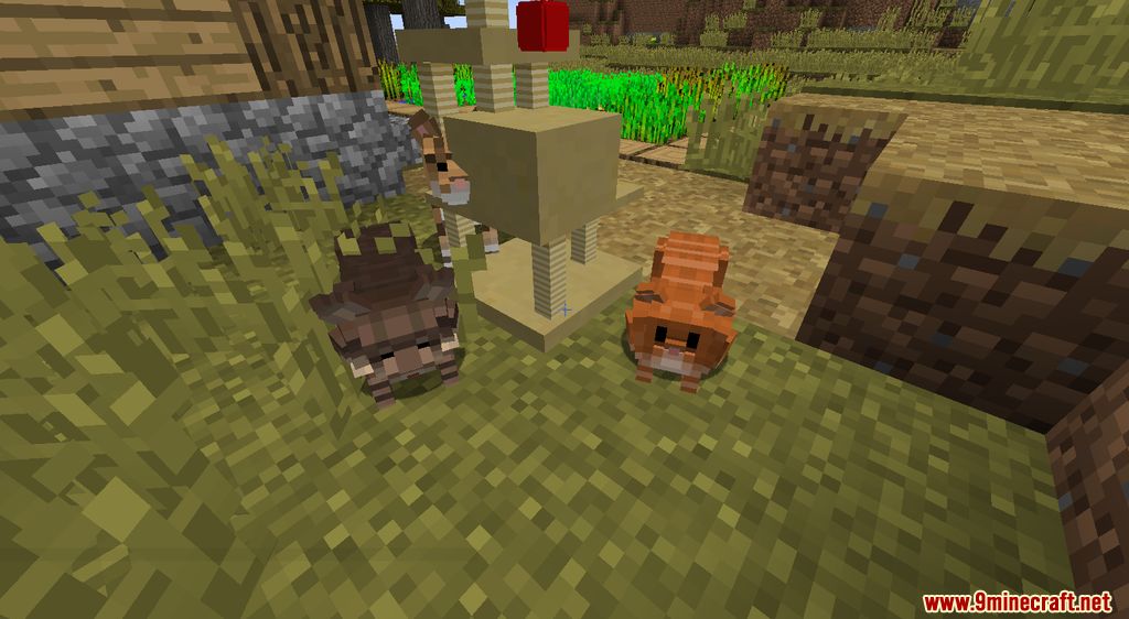 Gatos y perros Mod Capturas de pantalla 9