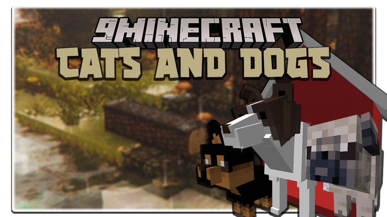 Gatos y perros Mod